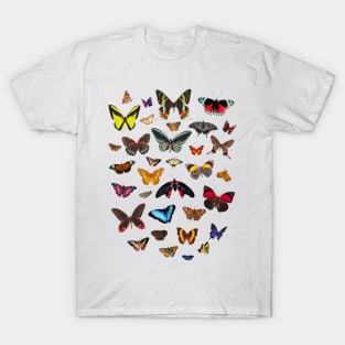 Butterflies Everywhere 🦋 T-Shirt